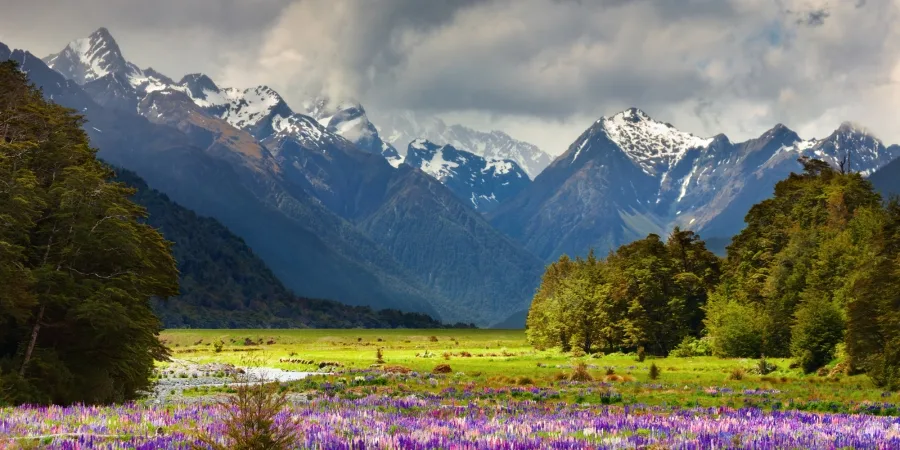 Blooming valley landscape during best season to visit