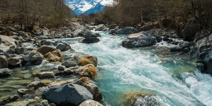 Devotees at Gangotri Temple during ideal season