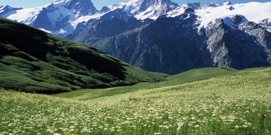 Best season to visit Valley of Flowers in full bloom