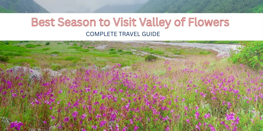 The best season to visit Valley of Flowers